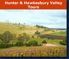 hunter valley img